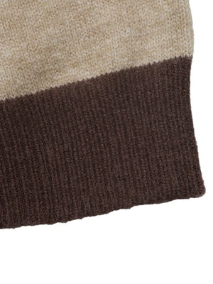 Color Block Polo Collar Sweater in Coffee Brown, view 11