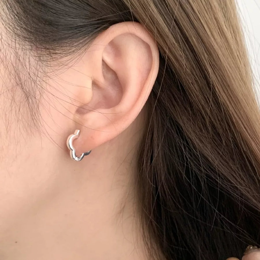 silver earrings with not applicable and hinged clasp