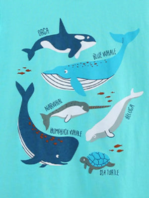 Boys' cotton underwear with colorful ocean animals print including whales, orca, narwhal, beluga, and sea turtle.