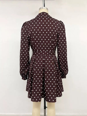 Brown A-line shirt dress with collared