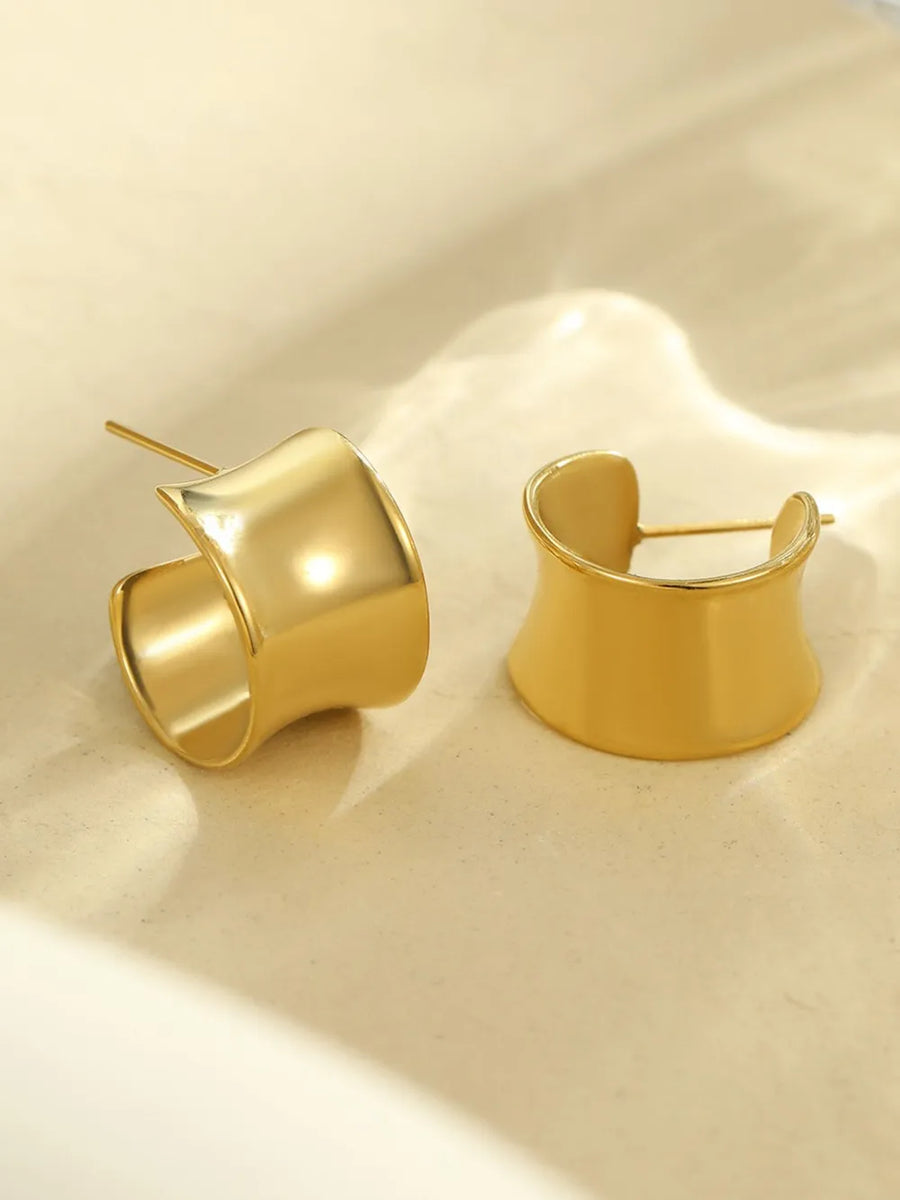 Stainless Steel earrings in TypeC with hoop silhouette