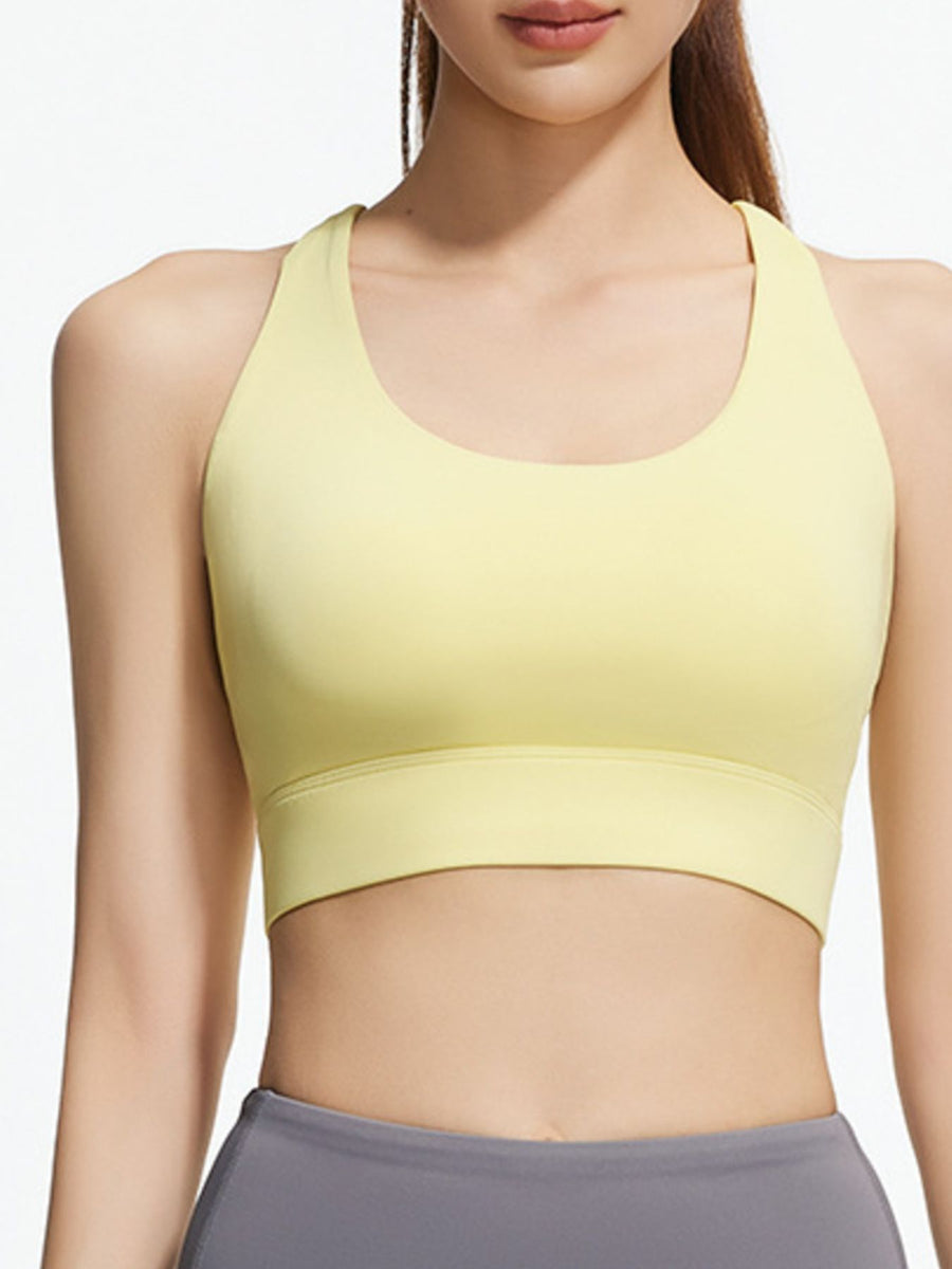 100% polyester Care instructions: Machine wash cold sports bra in Black with fitted silhouette