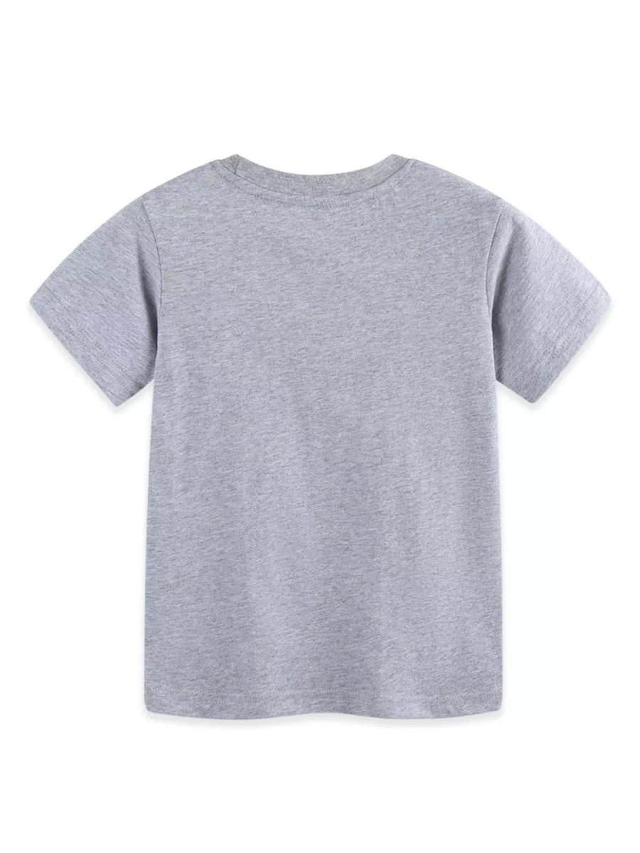 Toddler grey cotton t-shirt with crew neck and short sleeves.
