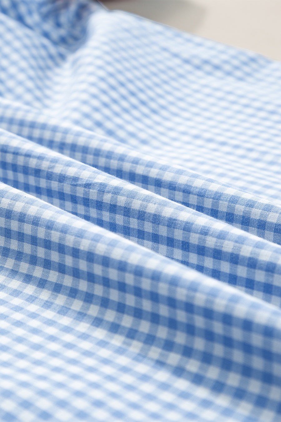 Light Blue Gingham Embroidered Sleeve Blouse