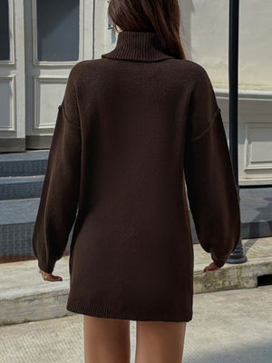classic sweater dress in dark brown with turtleneck