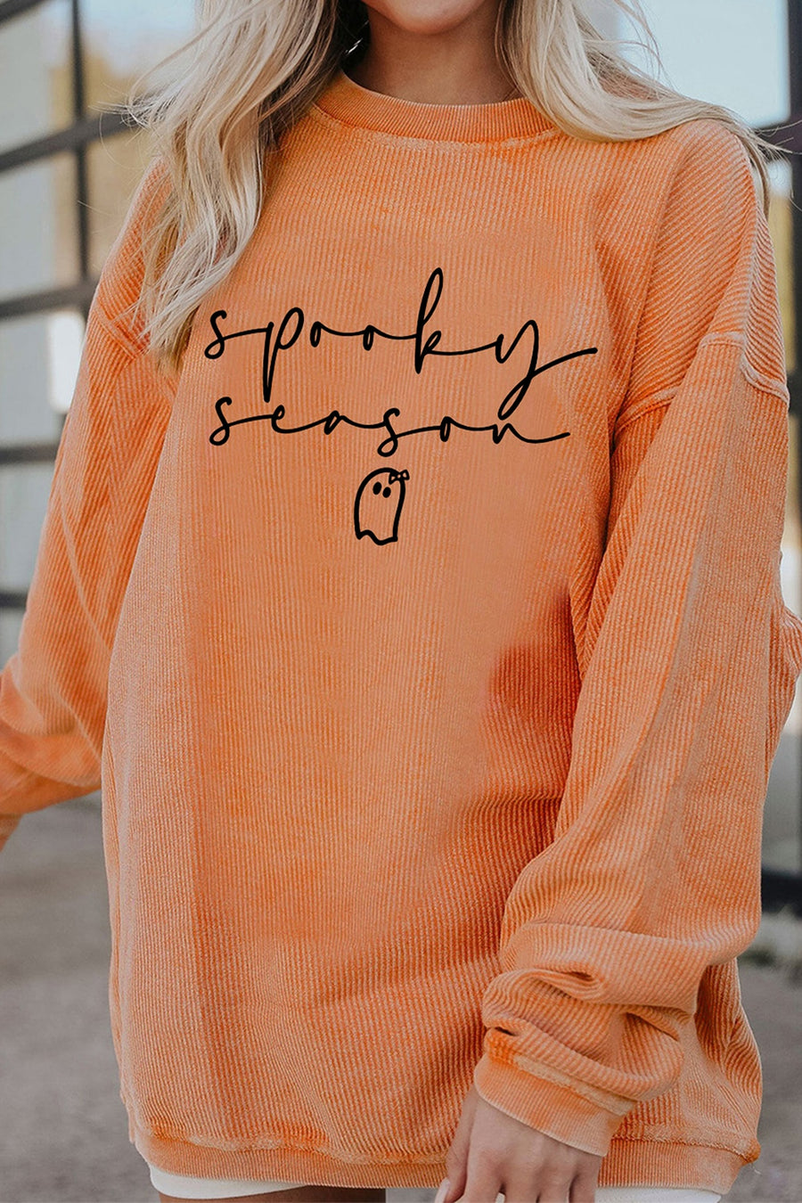 Sherbet sweatshirt with hip-length and pullover