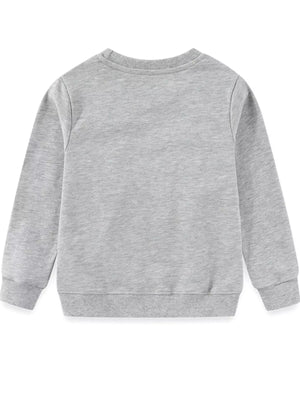 Gray crew-neck sweatshirt with ribbed cuffs and hem.