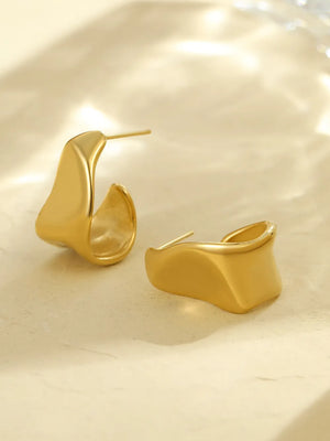 Stainless Steel earrings in TypeB with hoop silhouette