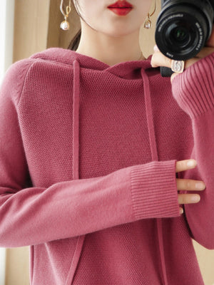 Klein Blue regular pullover sweater with hooded