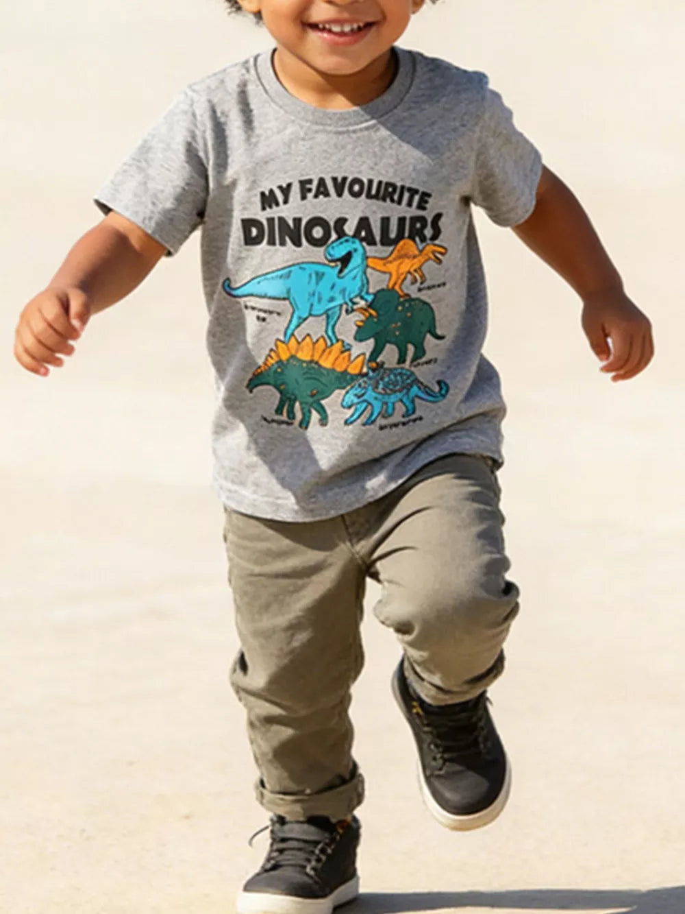 Toddler boys grey cotton t-shirt with dinosaur graphic and text.