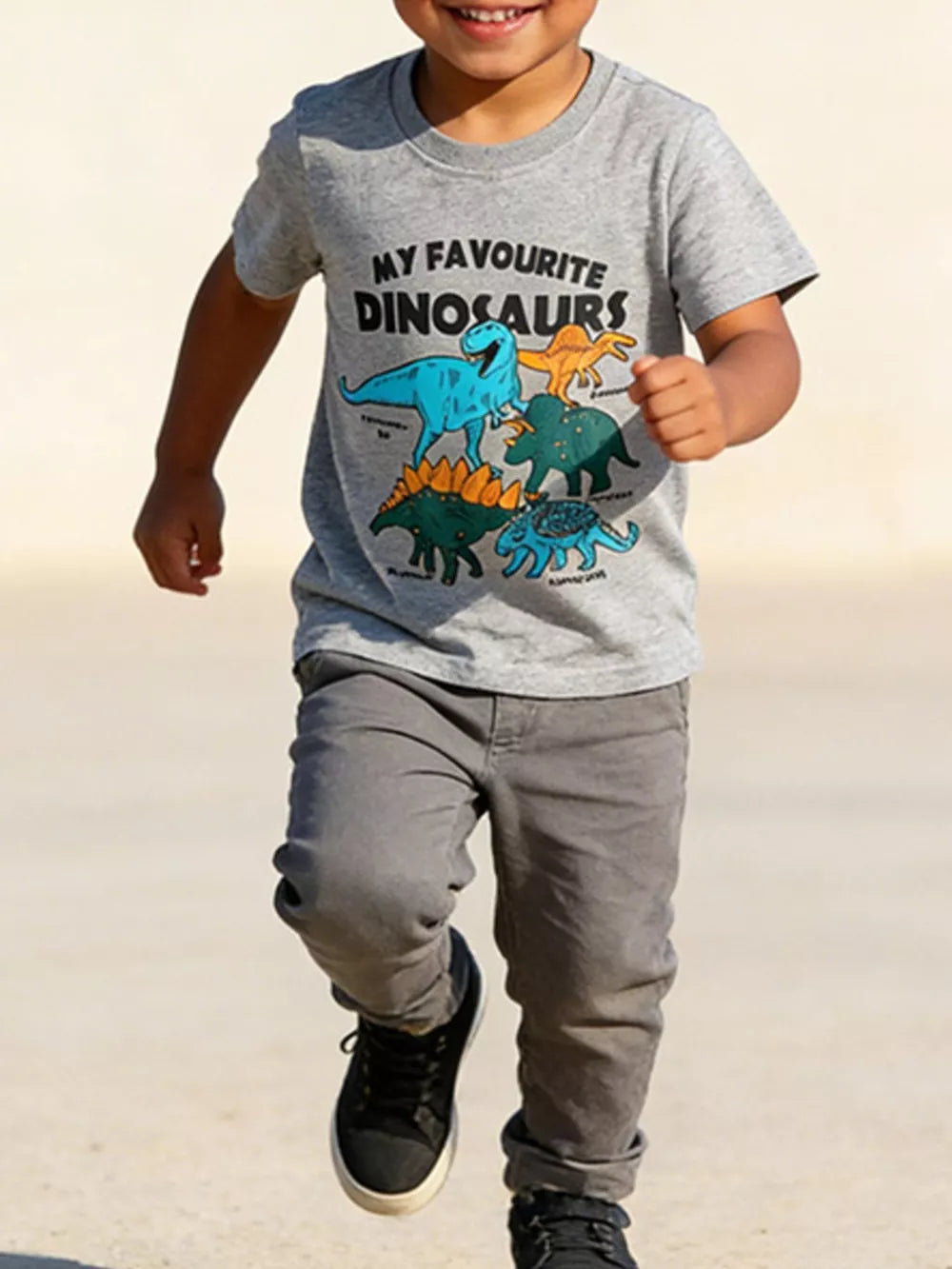 Toddler boys grey cotton t-shirt with dinosaur graphic and text MY FAVOURITE DINOSAURS