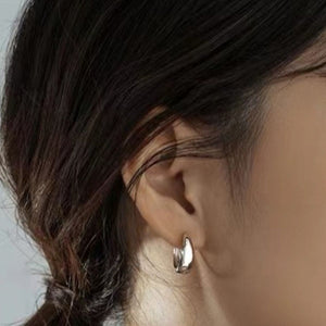 silver earrings with not applicable and hinge closure