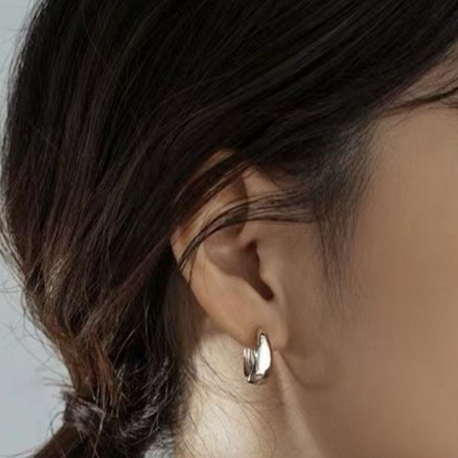 silver earrings with not applicable and hinge closure