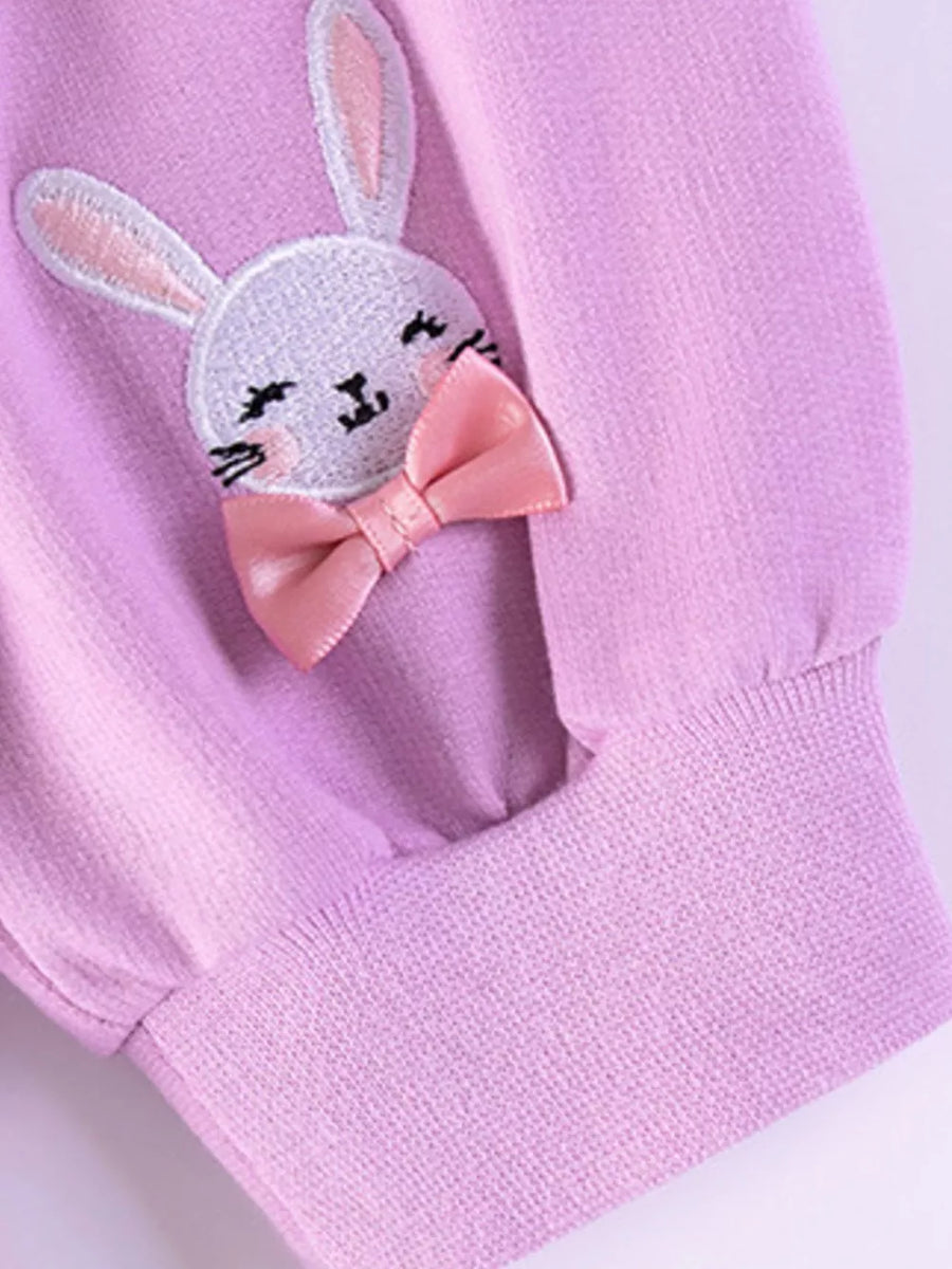 sweater dress in Pink Purple with embroidered and embroidered