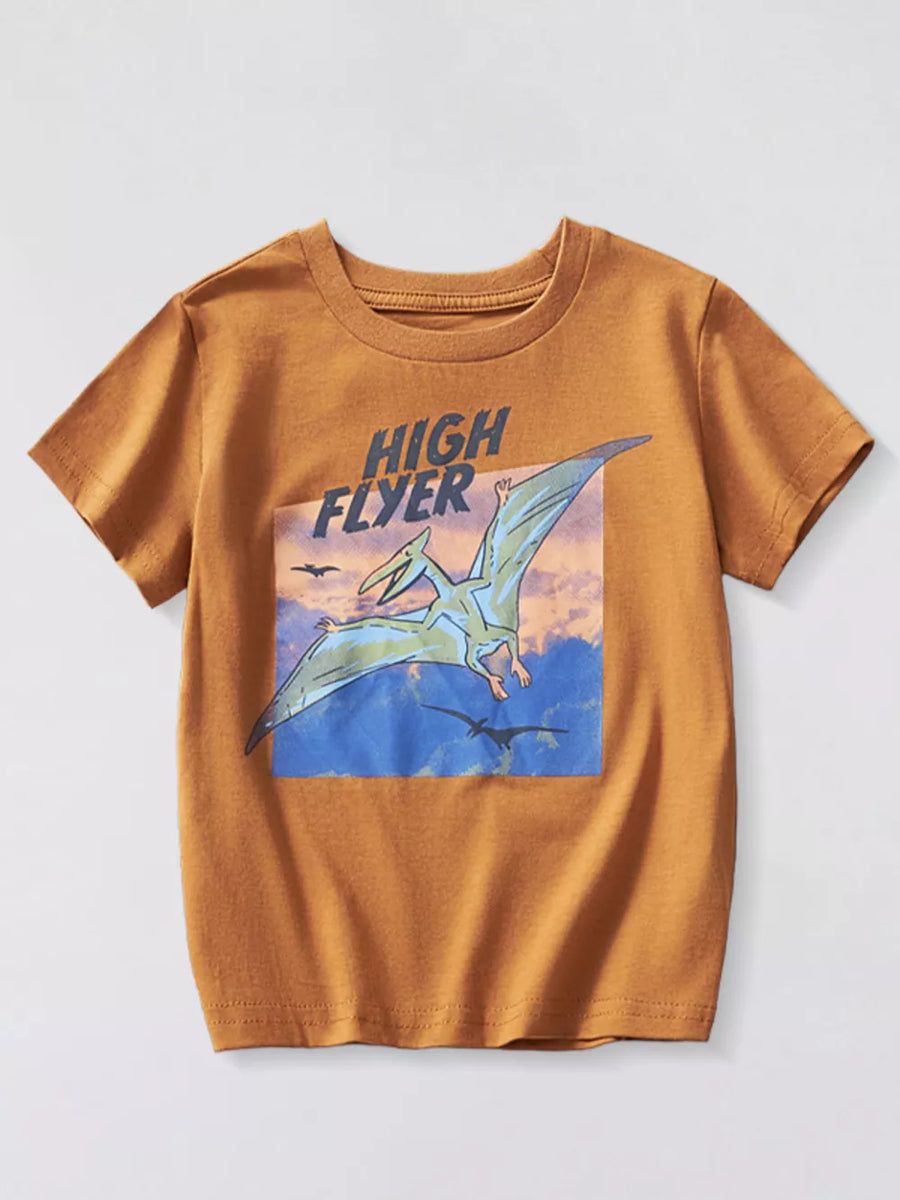Brown t-shirt with short sleeves and a graphic print of a pterodactyl and the words High Flyer.