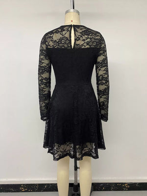 Elegant Lace Long Sleeve Mini Dress in Black with lace