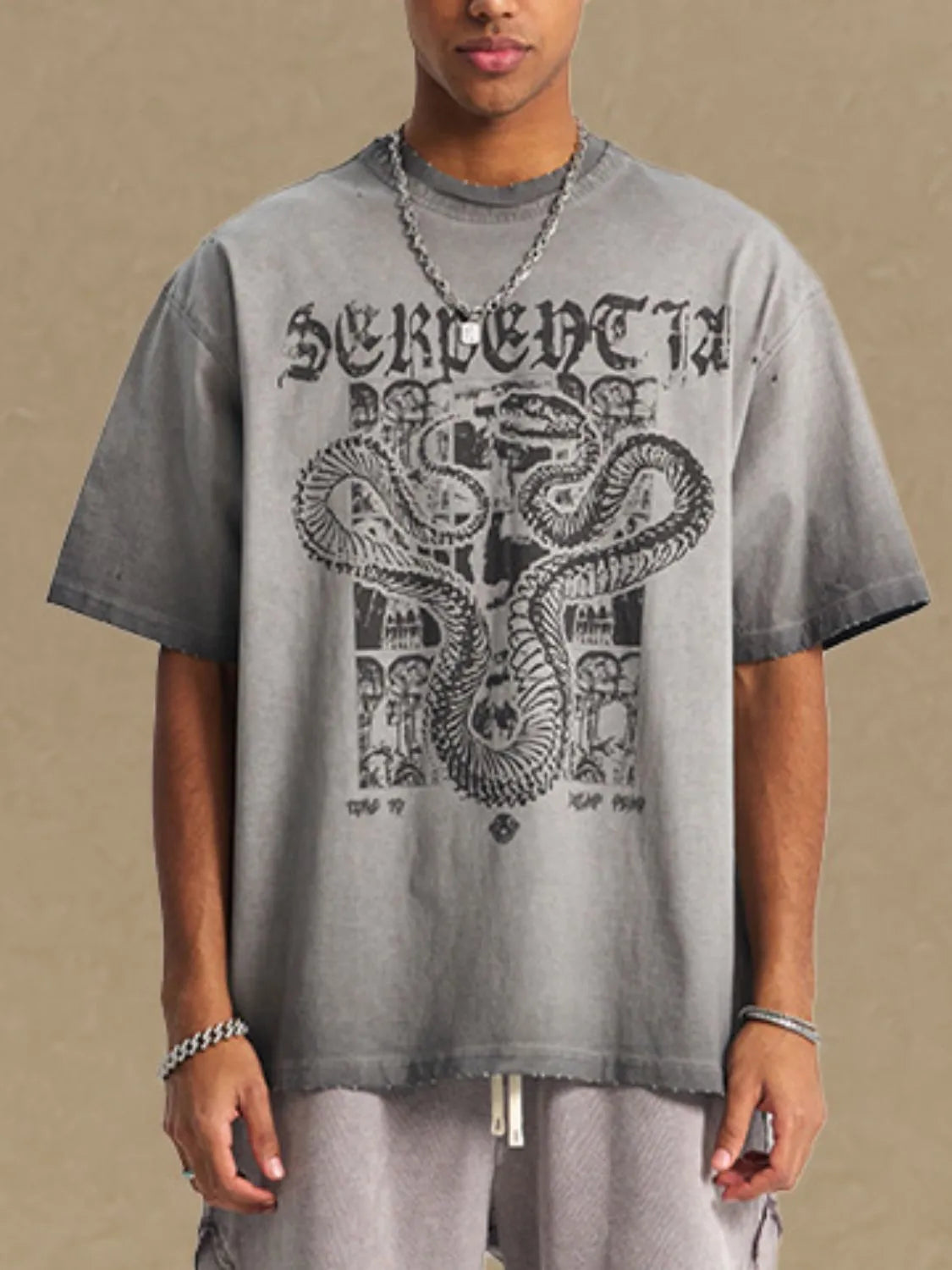 Washed gray oversized graphic tee with snake and architectural design print.