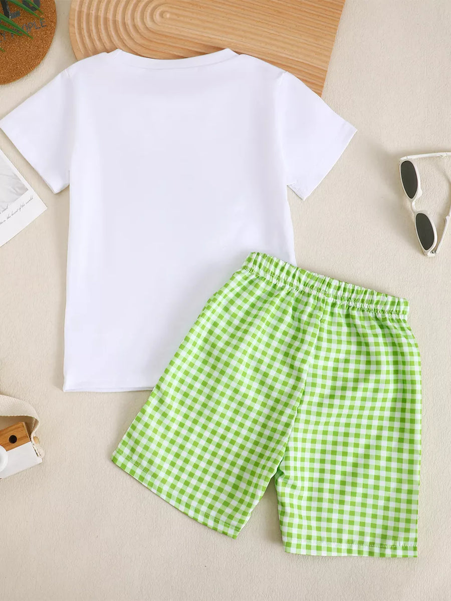 Baby set with white t-shirt and green gingham shorts
