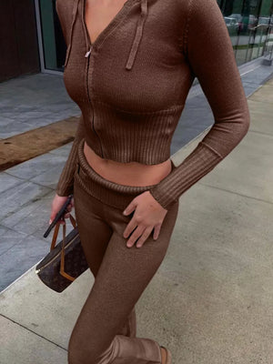 Zip Up Hooded Cardigan And Pants Sweater Set in Brown