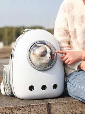 Chic transparent pet carrier backpack in light gray with bubble window and air vents.