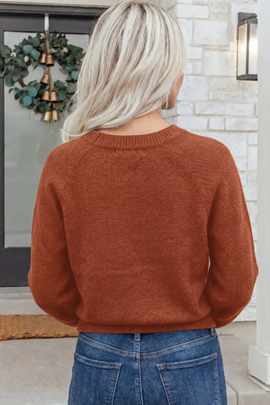 Ribbed Knit Round Neck Short Sleeve Sweater in Brown