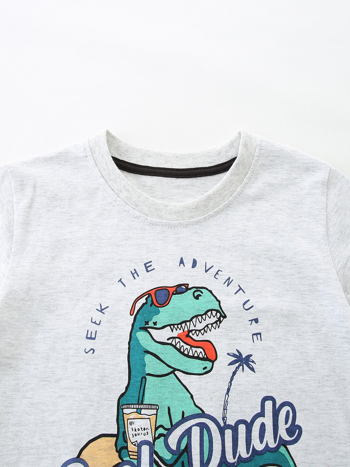 Light grey cotton t-shirt with a graphic of a dinosaur wearing sunglasses and holding a drink, with text "Seek the