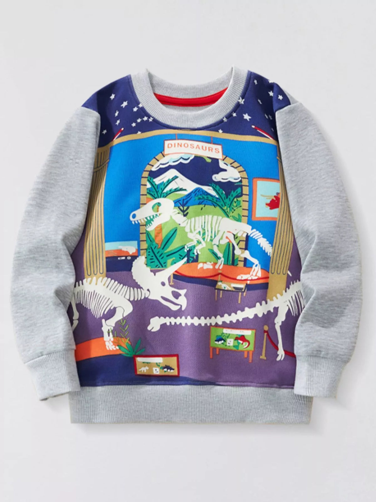 Light Gray baby sweatshirt with dinosaur museum graphic, crew neck, and long sleeves.