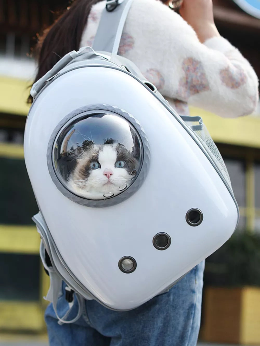 Chic transparent pet carrier backpack in white with bubble window and ventilation holes.