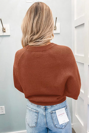 Brown with Ribbed Knit Round Neck Short Sleeve Sweater in Brown