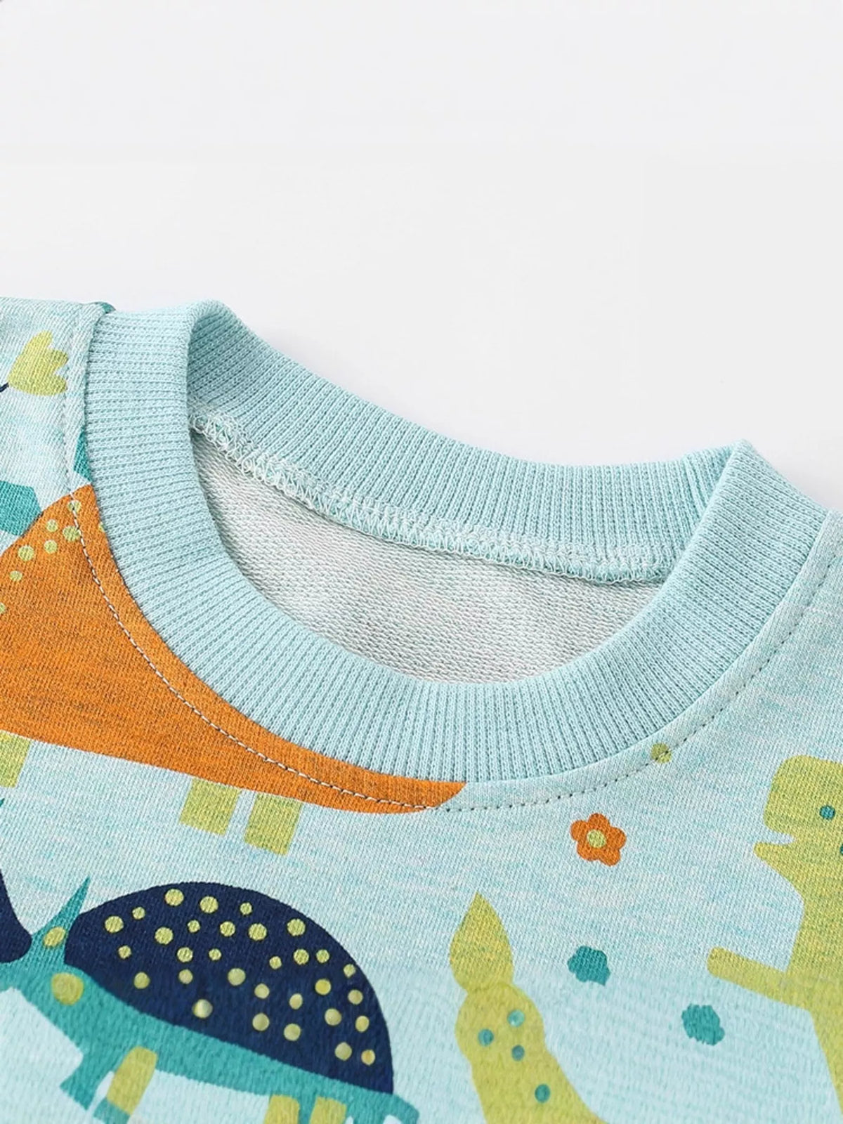 Baby sweatshirt in turquoise with a fun dinosaur print and ribbed crew neck.