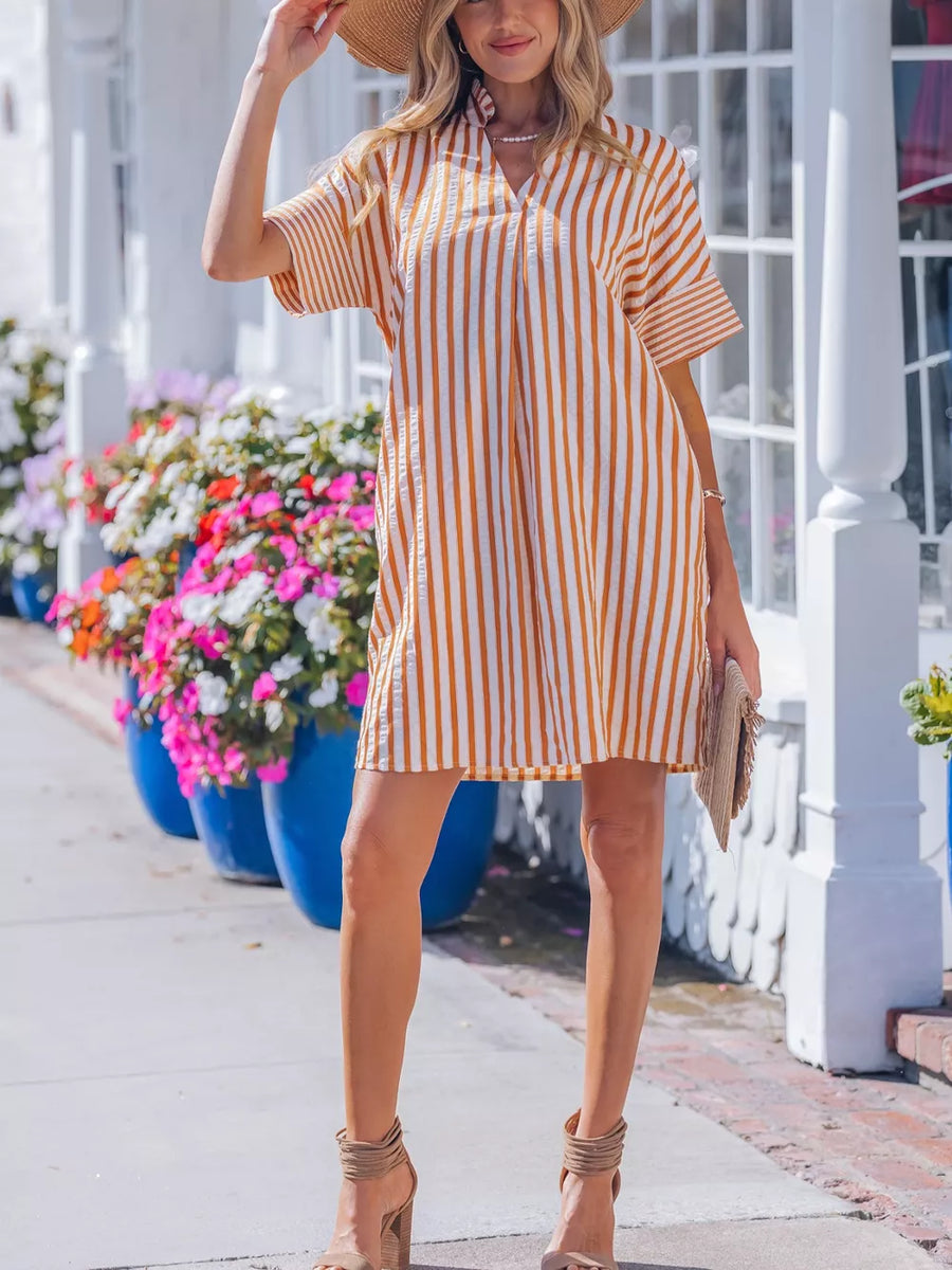 Striped V-neck shift mini dress with short sleeves and a fringe hem.