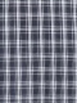 white button-up shirt with button-front and gingham