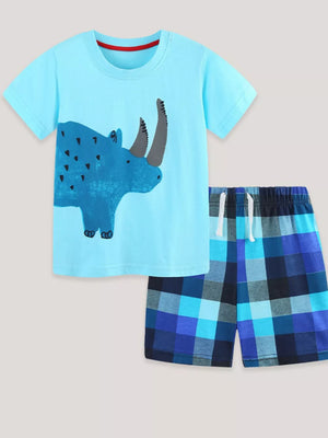 Baby blue rhino graphic tee and blue plaid shorts set.
