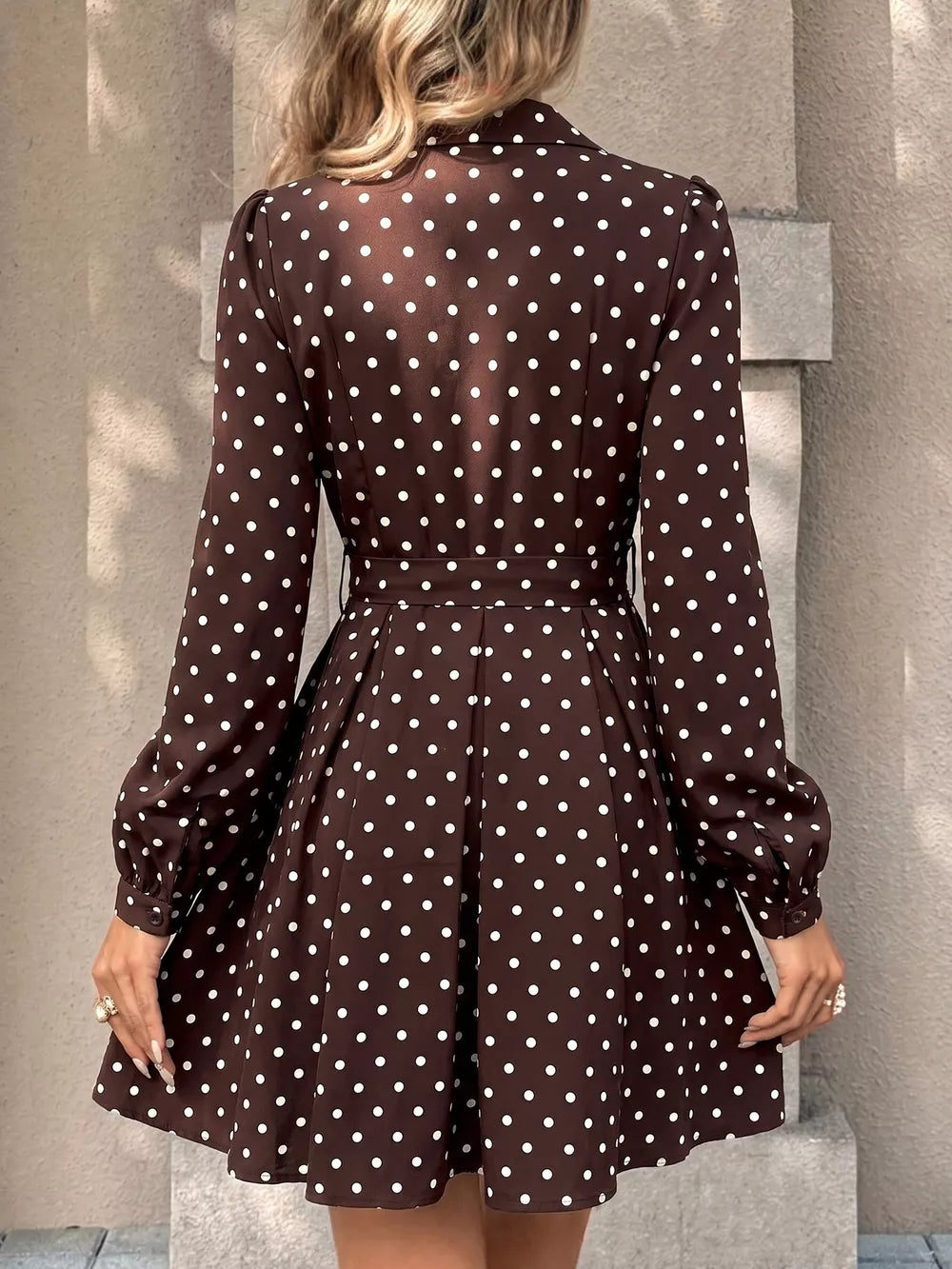 classic shirt dress in Brown with collared