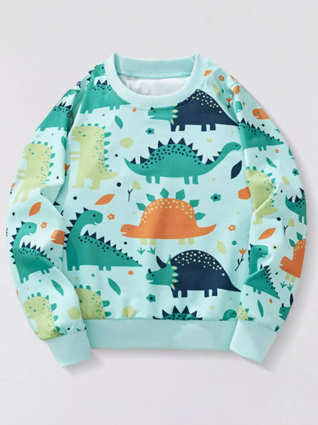Turquoise baby sweatshirt with allover dinosaur print and crew neck.