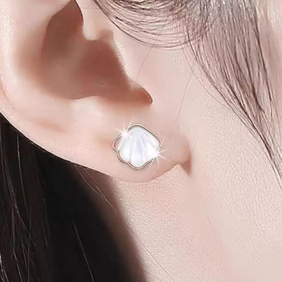 925 Sterling Silver Shell Stud Earrings in Silver