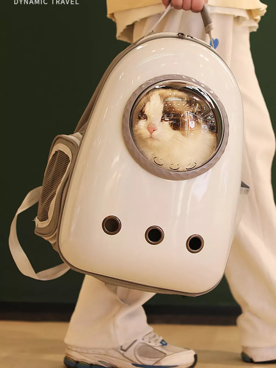 Chic transparent pet carrier backpack in white with bubble window and ventilation holes.