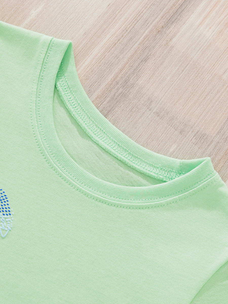 Dinosaur Appliqué Toddler T-shirt And Shorts Set