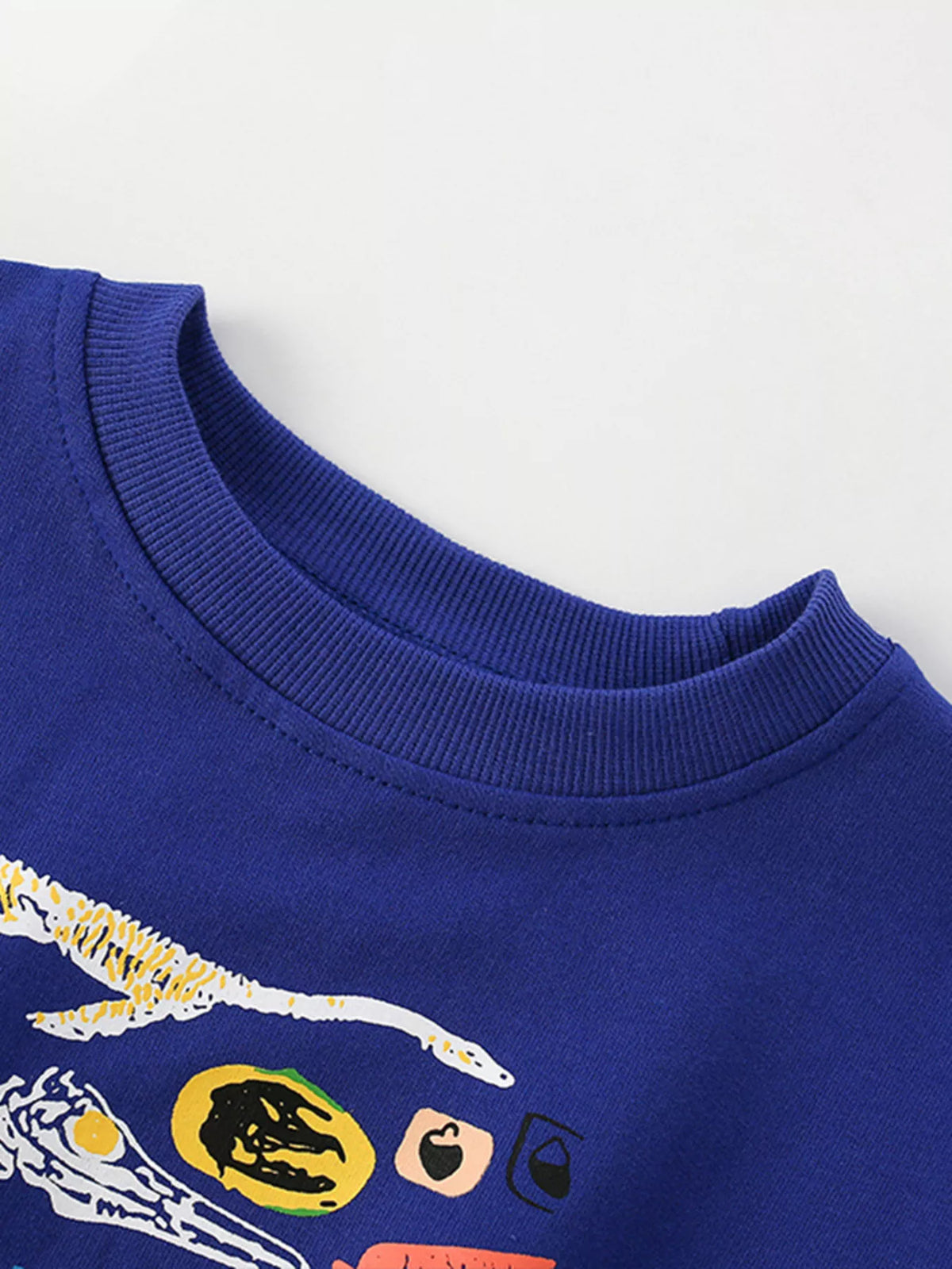 Navy dinosaur graphic sweatshirt for kids with crew neck