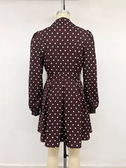 Brown A-line shirt dress with collared