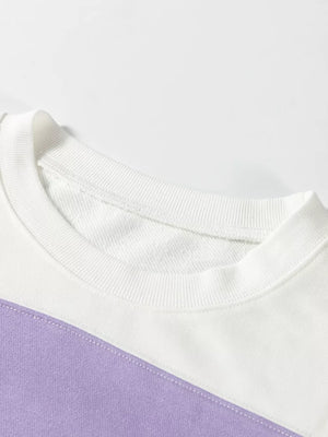Colorblock Patchwork Drop Shoulder Sweatshirt option 9