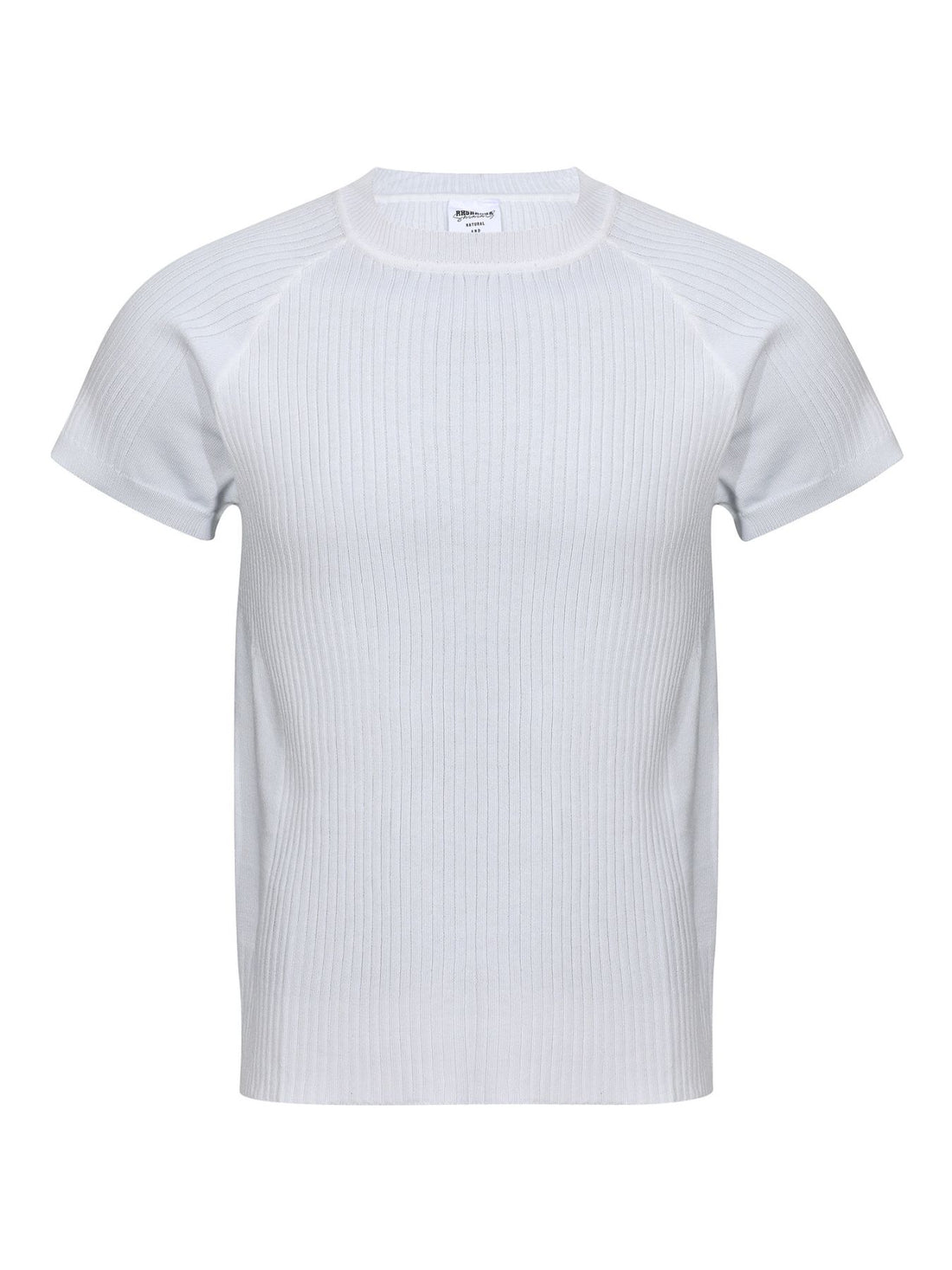 Crew-Neck Ribbed Slim Fit Knit Top in Light Gray