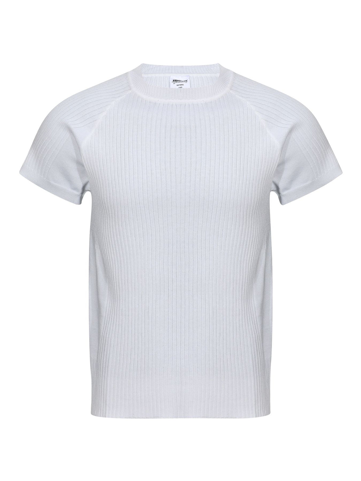 Crew-Neck Ribbed Slim Fit Knit Top in Light Gray