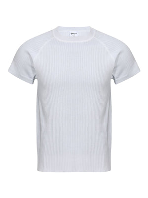 Crew-Neck Ribbed Slim Fit Knit Top in Light Gray