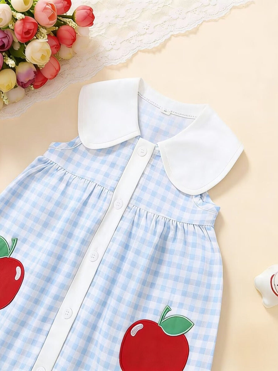 Sky blue gingham toddler dress with white collar, button front, and apple appliqué.