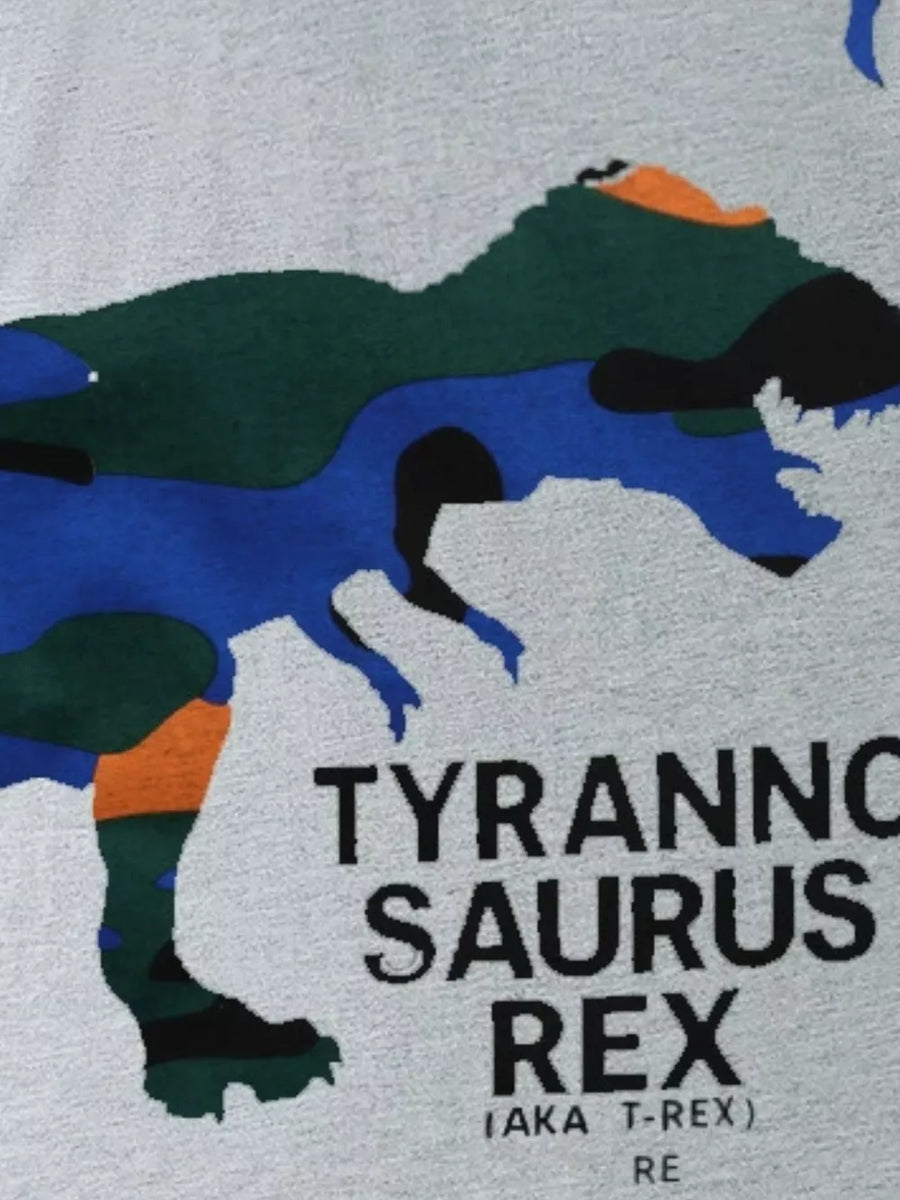 Grey t-shirt with a blue, green, and orange camouflage Tyrannosaurus Rex graphic and text.