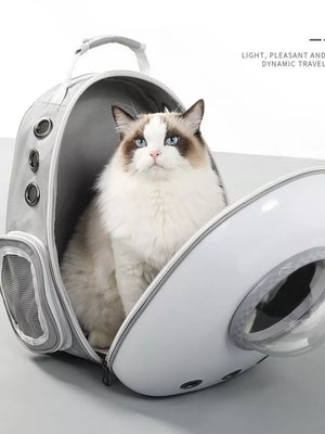 Light gray backpack pet carrier with bubble window and mesh side pocket, holding a fluffy cat.