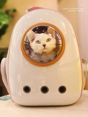 Chic transparent pet carrier backpack in light gray with bubble window and ventilation holes.