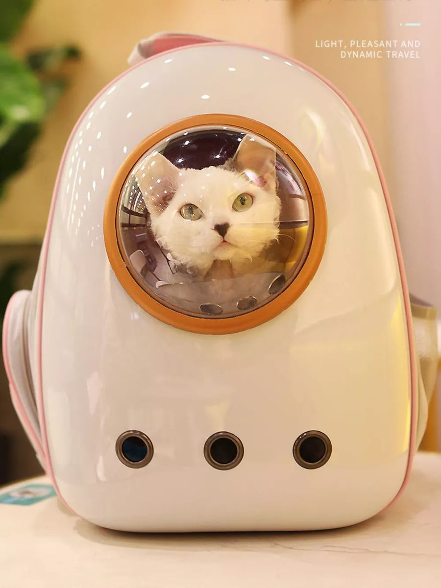 Chic transparent pet carrier backpack in light gray with bubble window and ventilation holes.