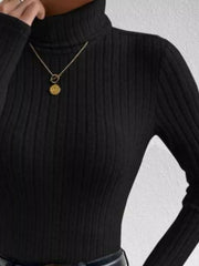 Black ribbed turtleneck long sleeve tee with a gold pendant necklace.